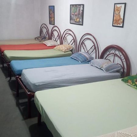 Hostel Santuario De Protecao Animal Filhos De Salomao Bragança Paulista Buitenkant foto