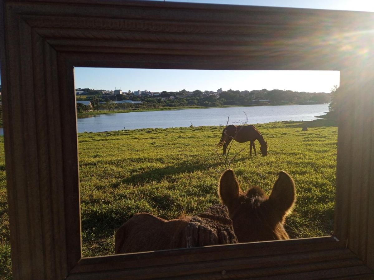 Hostel Santuario De Protecao Animal Filhos De Salomao Bragança Paulista Buitenkant foto