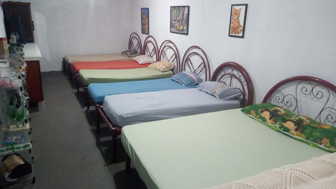 Hostel Santuario De Protecao Animal Filhos De Salomao Bragança Paulista Buitenkant foto