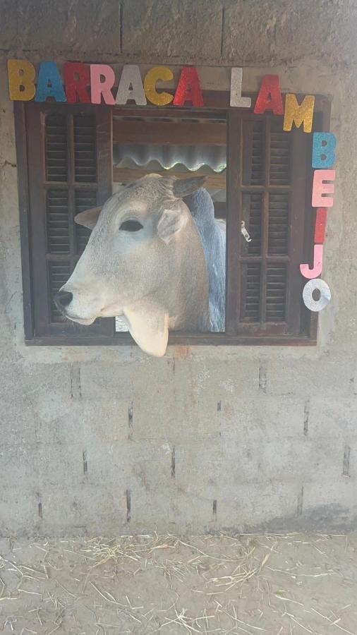 Hostel Santuario De Protecao Animal Filhos De Salomao Bragança Paulista Buitenkant foto