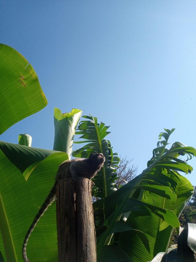 Hostel Santuario De Protecao Animal Filhos De Salomao Bragança Paulista Buitenkant foto